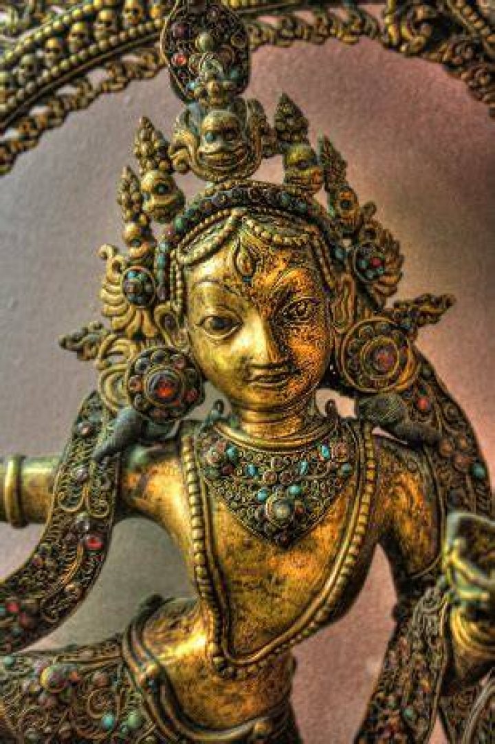 How Much is Parvati Shallow Worth? Unveiling the Wealth and Achievements of a Renowned Figure
