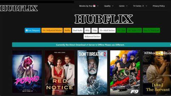 HubFlix: Your Ultimate Streaming Hub for Movies and Series