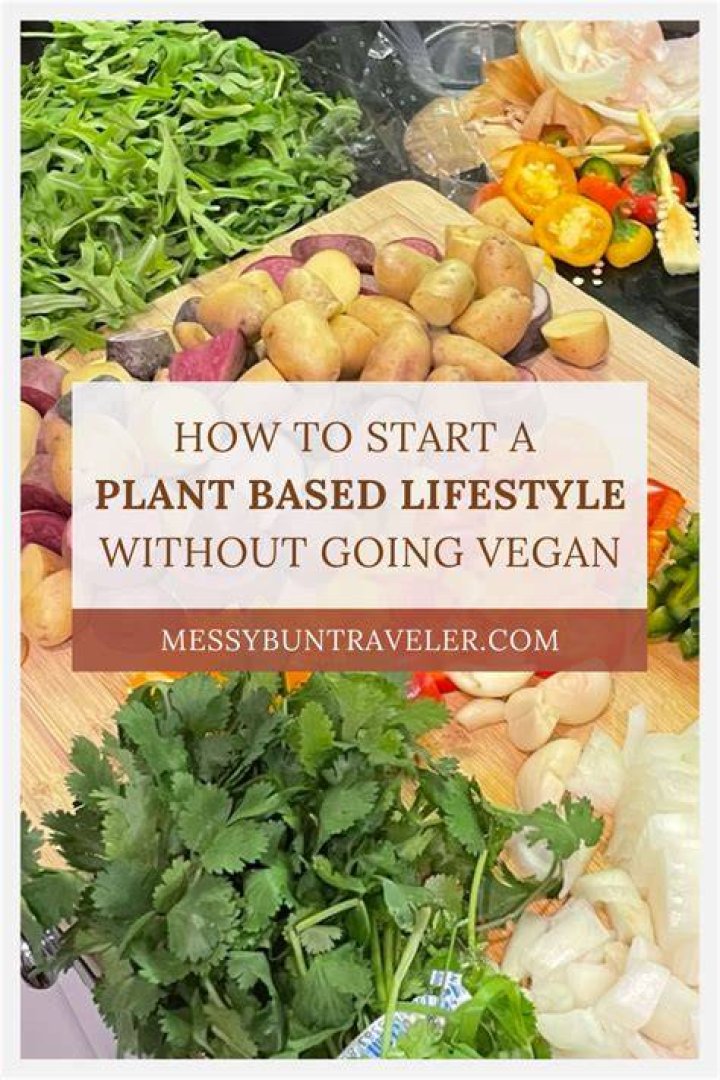 The Vegamovies: Your Ultimate Guide to a Vibrant Plant-Based Lifestyle